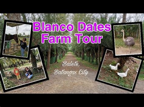Blanco Dates Farm Tour // A Visit in Batangas Part 1 .